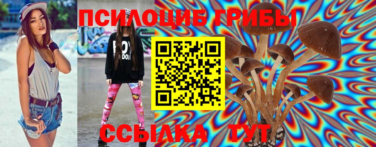 Псилоцибиновые грибы мицелий  Вход с VPN  Тольятти 